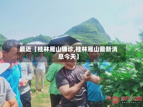最近【桂林雁山确诊,桂林雁山最新消息今天】-第3张图片
