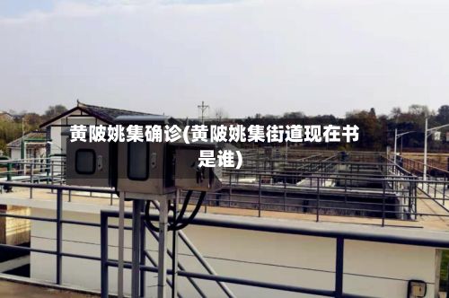 黄陂姚集确诊(黄陂姚集街道现在书是谁)-第2张图片