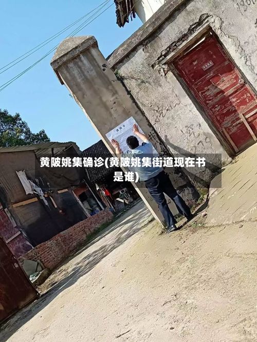 黄陂姚集确诊(黄陂姚集街道现在书是谁)