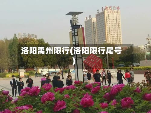 洛阳禹州限行(洛阳限行尾号)