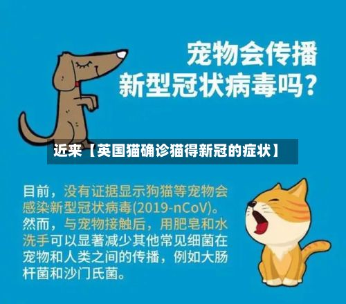 近来【英国猫确诊猫得新冠的症状】