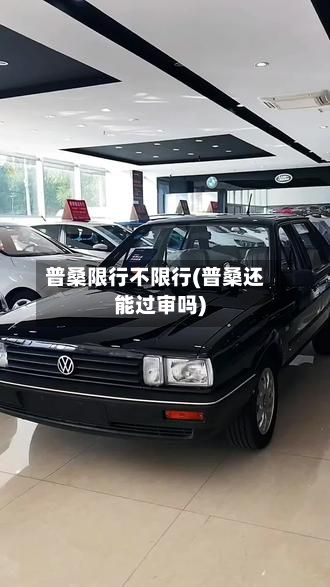 普桑限行不限行(普桑还能过审吗)-第2张图片