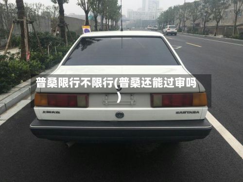 普桑限行不限行(普桑还能过审吗)-第3张图片