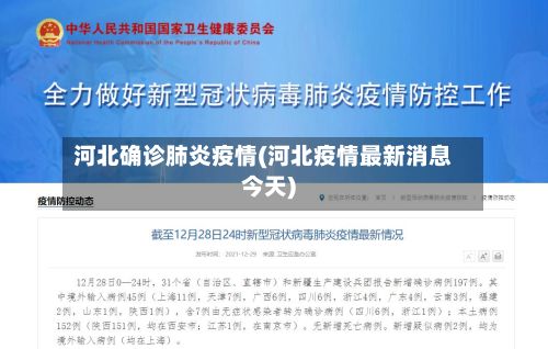 河北确诊肺炎疫情(河北疫情最新消息今天)-第2张图片