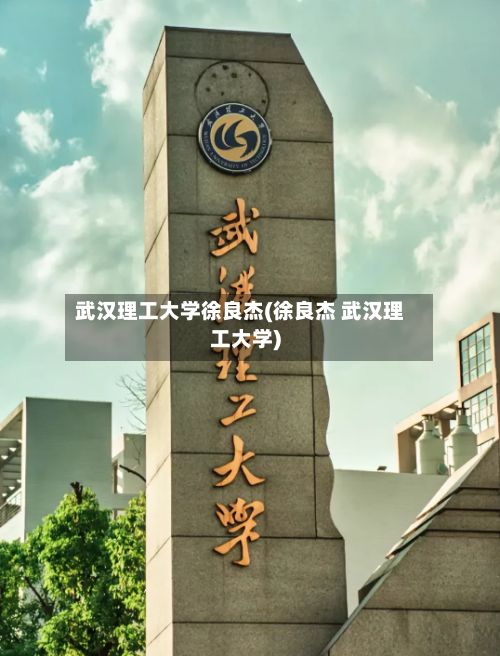 武汉理工大学徐良杰(徐良杰 武汉理工大学)-第3张图片