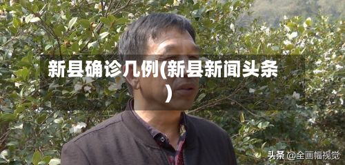 新县确诊几例(新县新闻头条)-第1张图片
